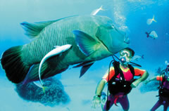 great-barrier-reef.jpg