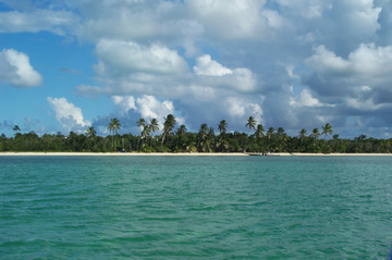 andros.jpg