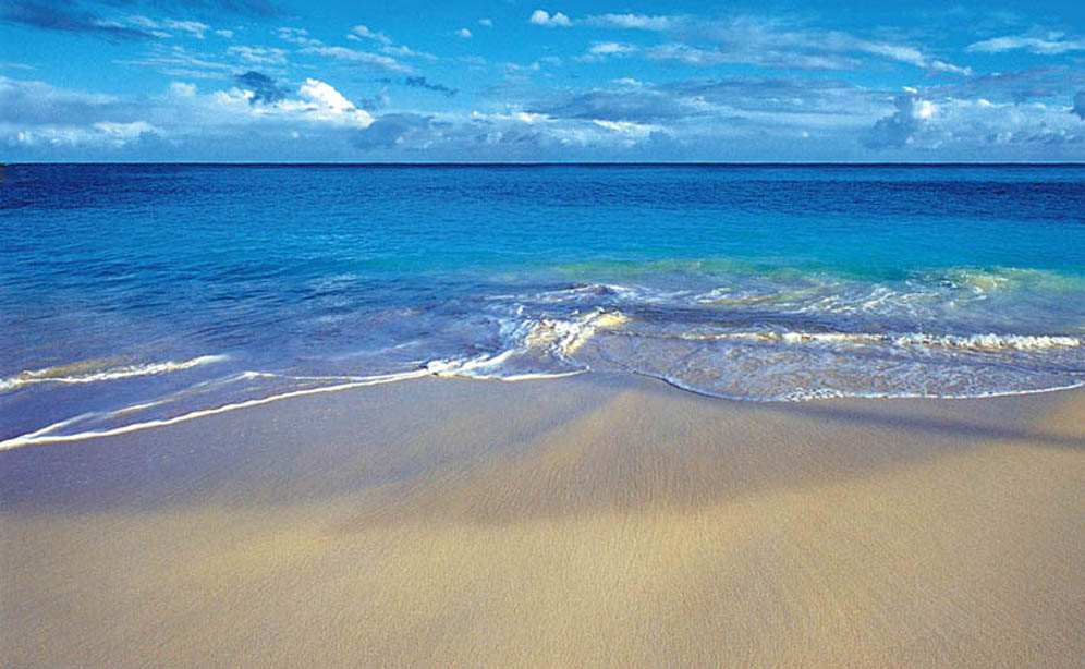 long_island.jpg