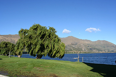 wanaka.jpg